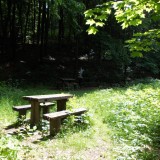 A Flóra-forrás környéke. (PO)