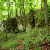 Felső-forrási-barlang (JN)