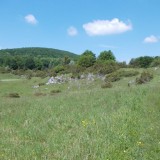 Zsidó-rét ( K/ )