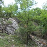 A Nagy-Som-hegy alatt. ( JN )