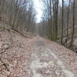 Vörös-kő-völgy (JN)